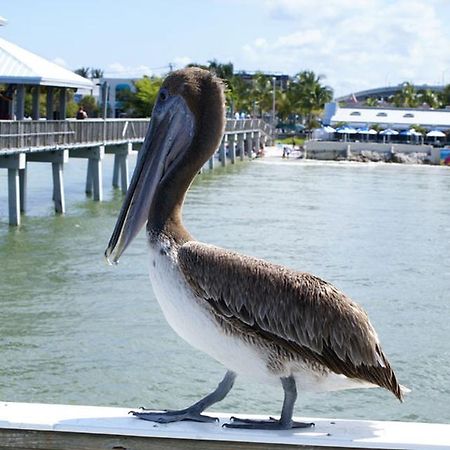 Manatee Bay Inn Fort Myers Beach Εξωτερικό φωτογραφία
