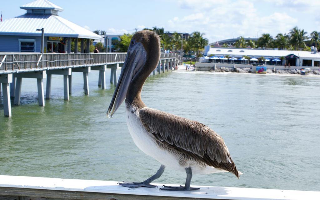 Manatee Bay Inn Fort Myers Beach Εξωτερικό φωτογραφία